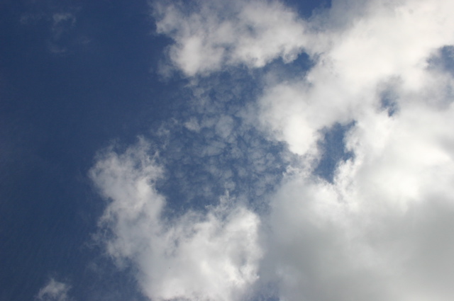 Blau