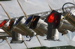 Licht